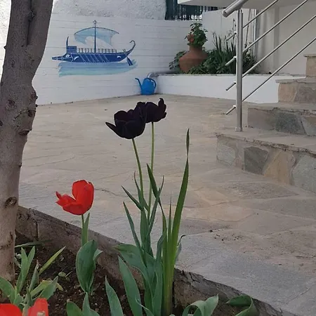 Doukas & *