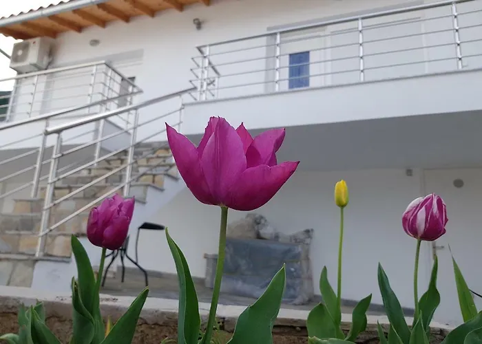 Doukas & شقة Skála Marión