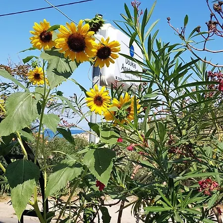 Doukas & Apartmán