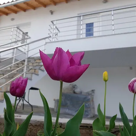 Doukas & Apartmán Skála Marión
