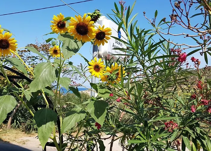 Doukas & Appartamento